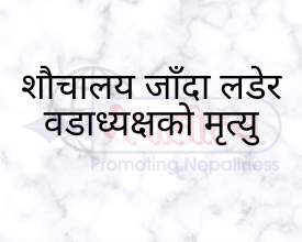 शौचालय जाँदा लडेर वडाध्यक्षको मृत्यु